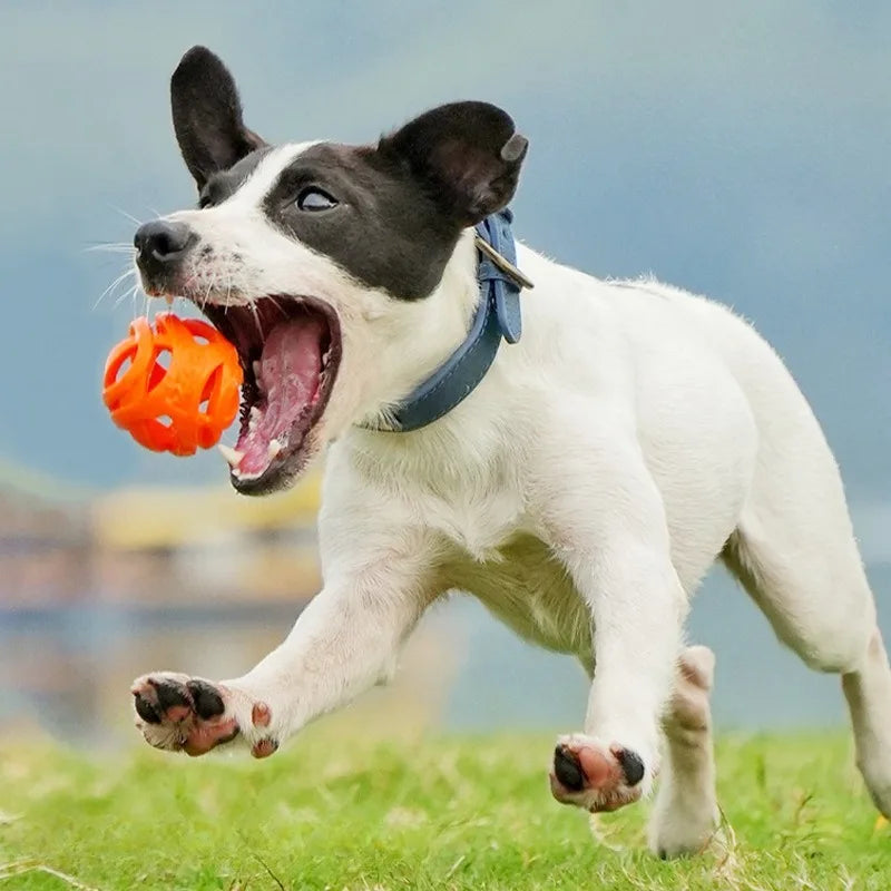 Pet Toys - Bite-resistant Chewing Balls - Hollow Elastic Balls - Training Balls - Entertainment and Relaxation Toys - Pet Supplies
