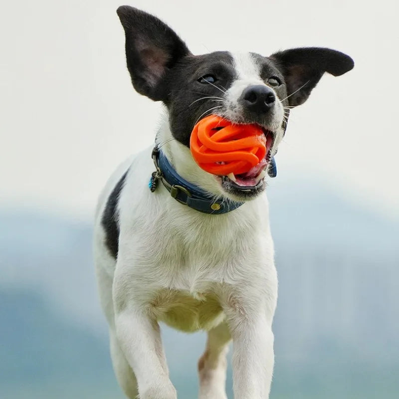 Pet Toys - Bite-resistant Chewing Balls - Hollow Elastic Balls - Training Balls - Entertainment and Relaxation Toys - Pet Supplies