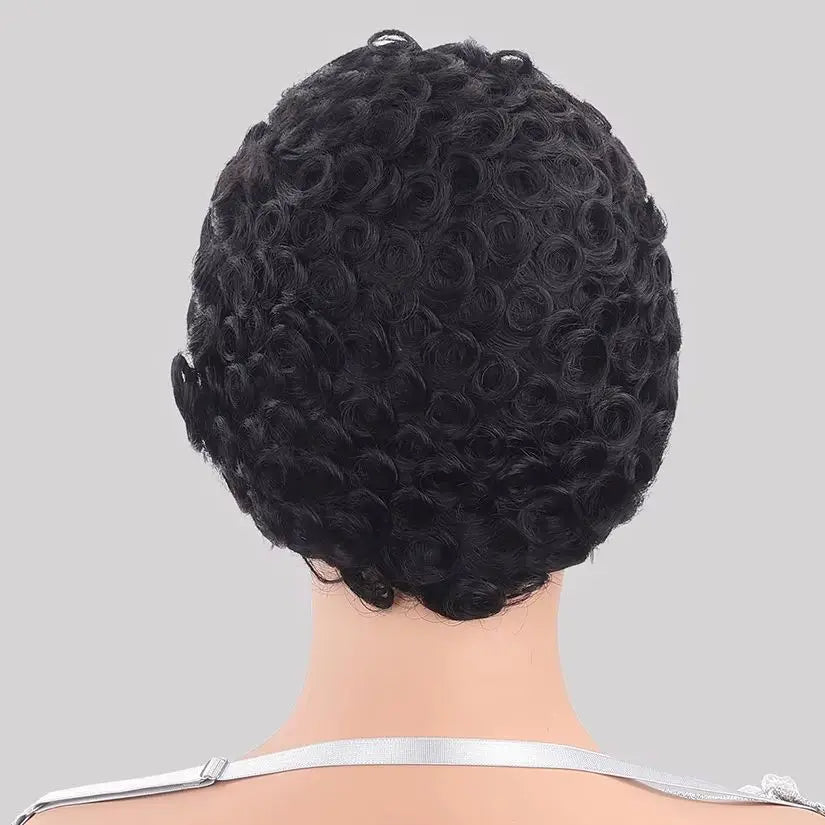 Curly 13x4 HD Lace Front Human Hair Wig Pixie Cut Wigs For Women 100% Human Hair Wigs Pre Plucked Chic Elegent Short Curly Wigs